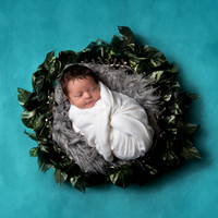 K.Newborn/Family