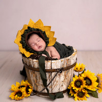 D.Newborn