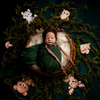 C.Newborn