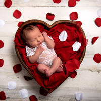 C.Newborn