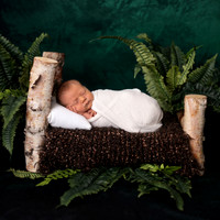 T.Newborn