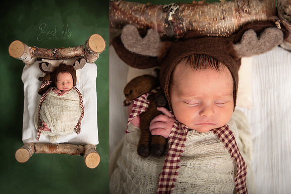 Alaskan Theme Newborn