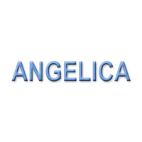 Angelica's Portraits