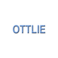 Ottlie's Portraits