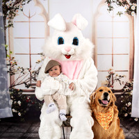 Easter Bunny(5)