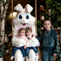 Easter Bunny(3)