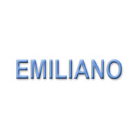 Emiliano's Portraits