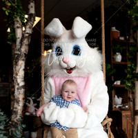 Easter Bunny(4)