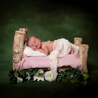 C.Family/Newborn