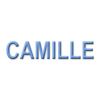 Camille's Portraits