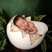 T.Newborn
