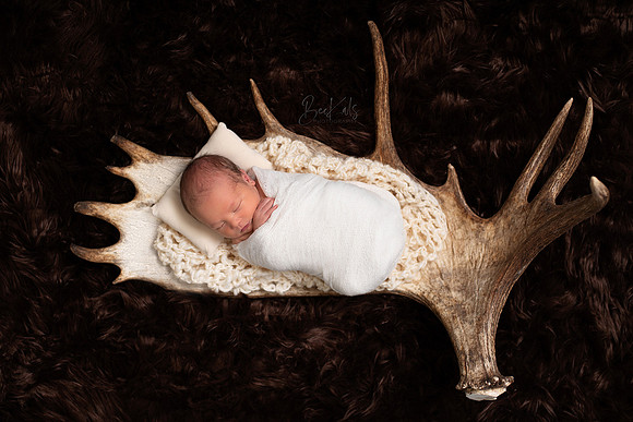 Newborn Studio