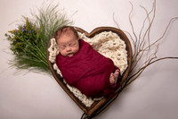 Newborn in Studio