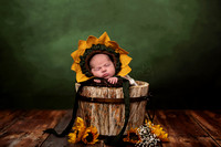 Newborn Sunflower