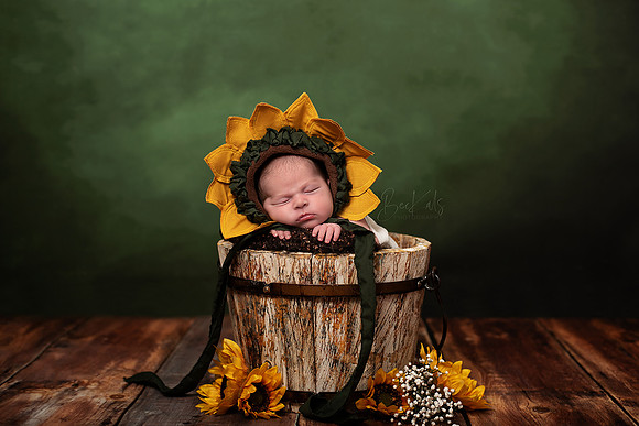 Newborn Sunflower