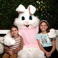 Z. Easter Bunny