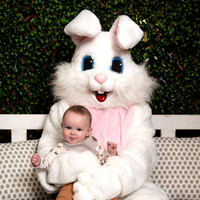 T. Easter Bunny