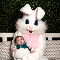 N. Easter Bunny
