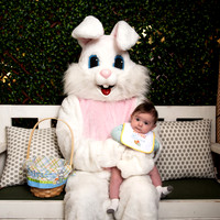 S. Easter Bunny