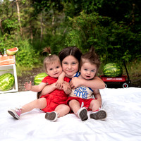 D.Summer Minis