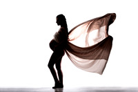 Maternity Fabric Toss Silhouette