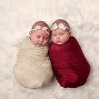 C.Newborn